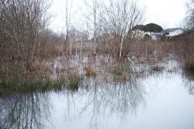 Etang de Paloumey   Innondation.